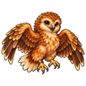 Aquila