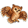 Noctua