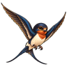 Hirundo